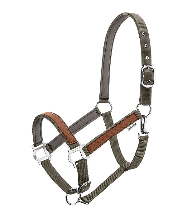 Halter Forster