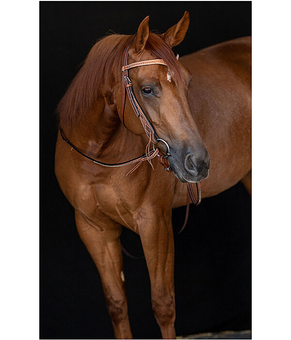 V-shaped Headstall Studded