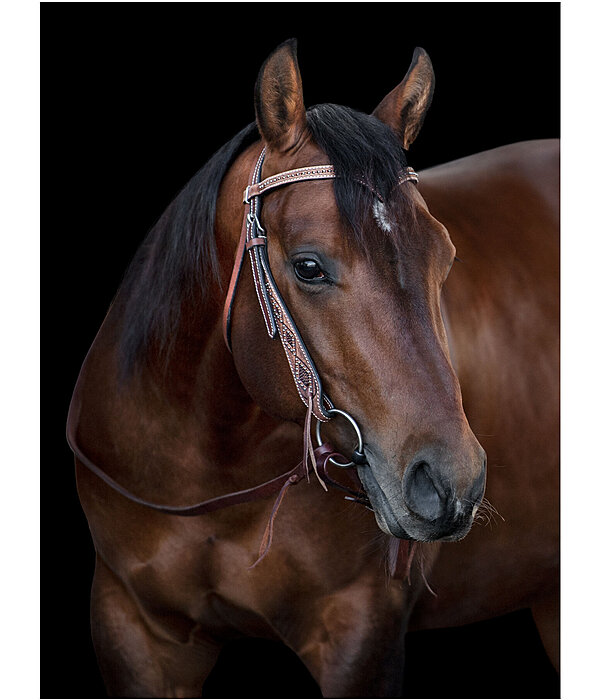 V-shaped Headstall Studded