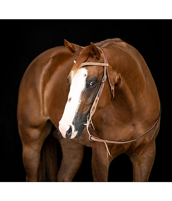 V-shaped Headstall Studded