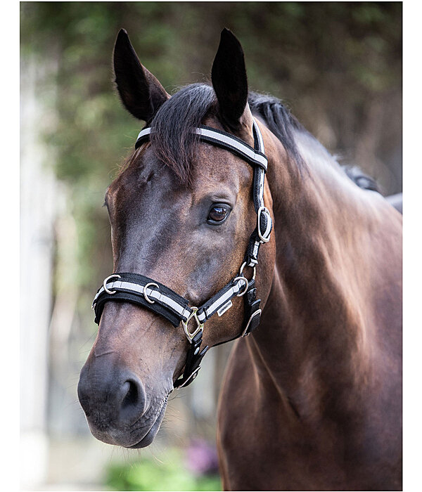 Multifunctional Bridle