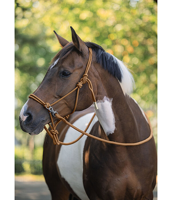 Rope Halter with Reins
