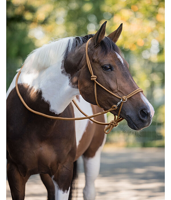 Rope Halter with Reins