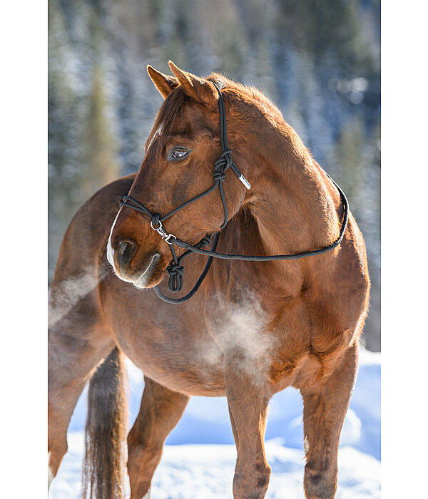 Rope Halter with Reins