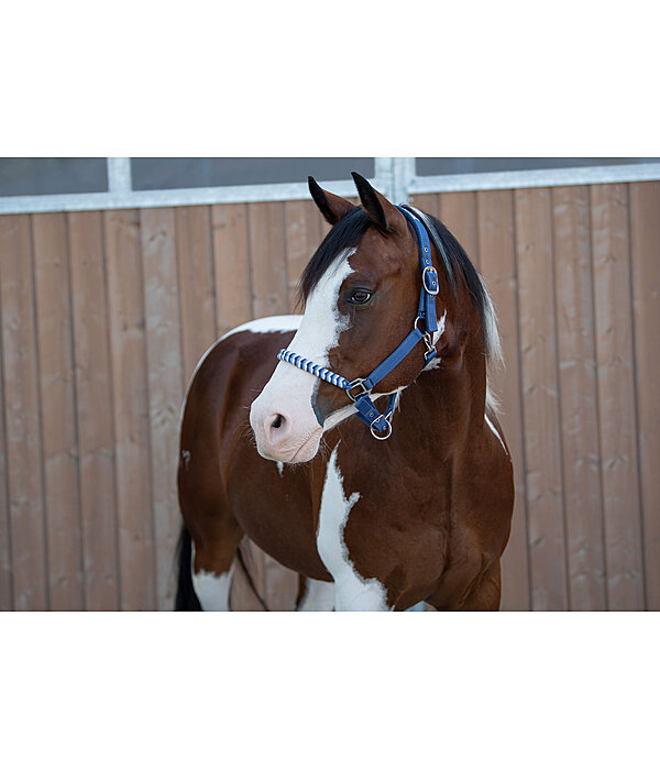 Halter Filo