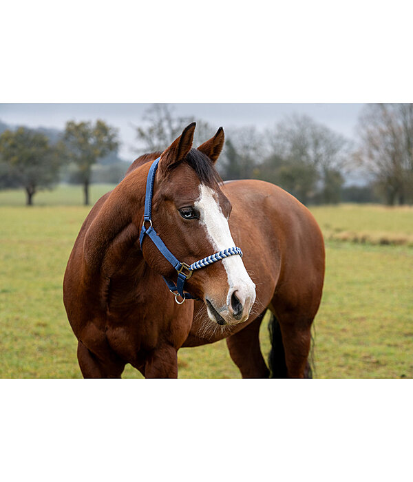 Halter Filo