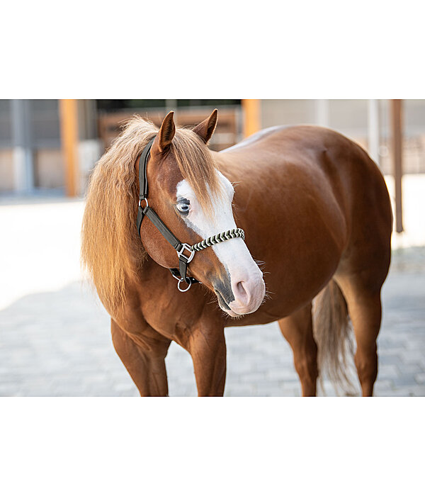 Halter Filo