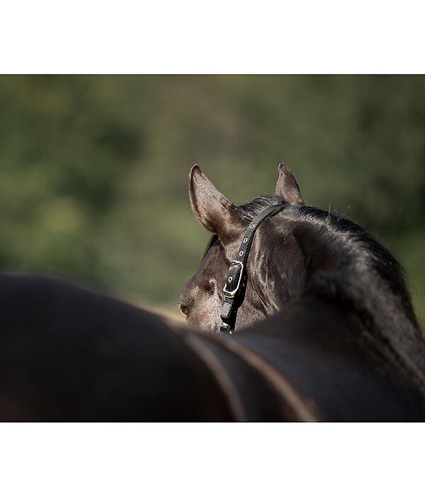 Nylon Headcollar