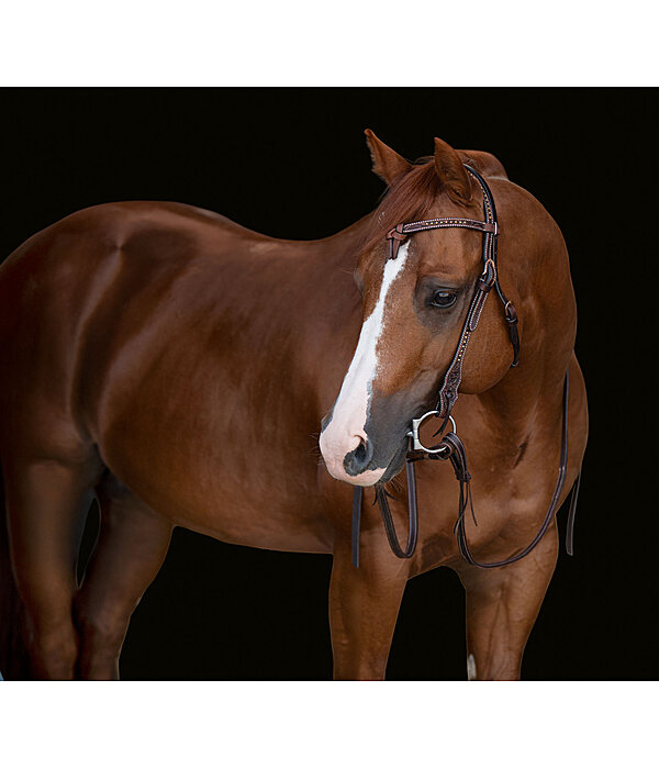 Western Headstall Tila