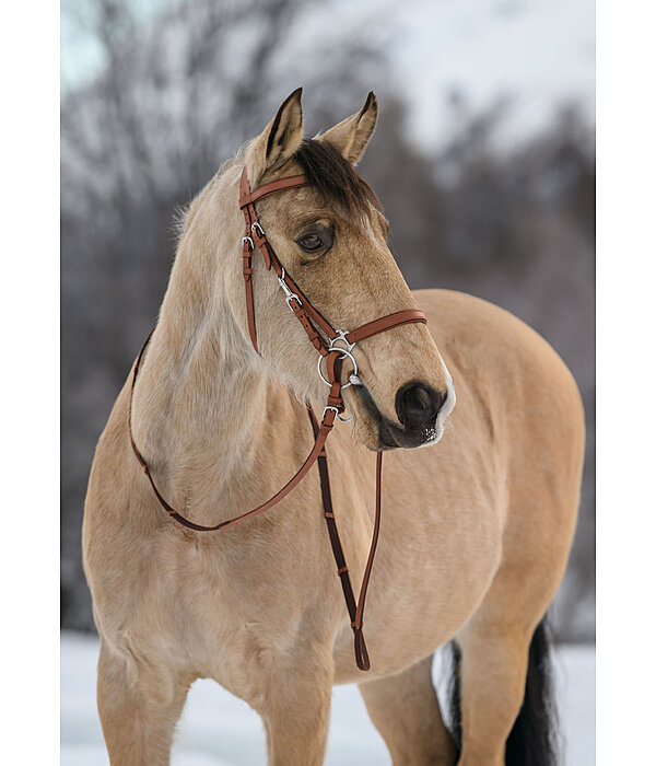 Trekking Bridle Nevada