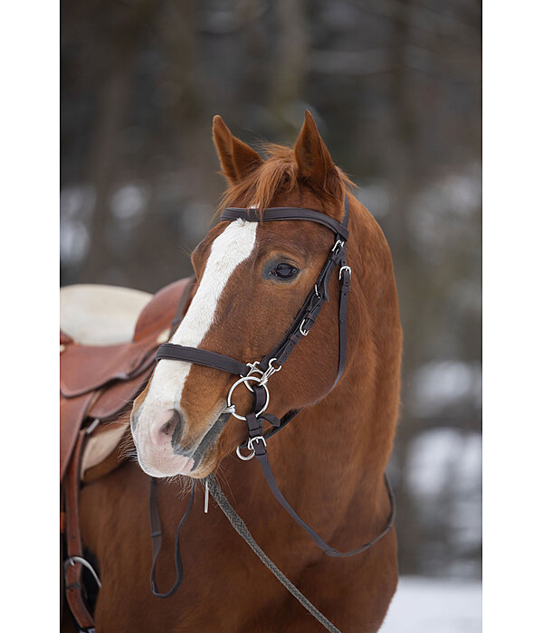 Trekking Bridle Nevada