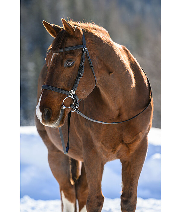 Trekking Bridle Nevada