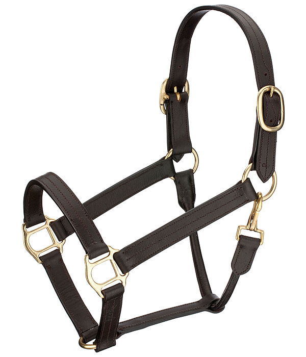 Leather Halter Premium