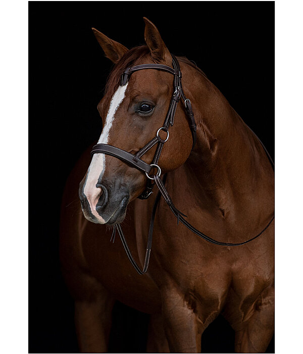 爆買い！ & Mix Match Equestrian Kramer - Riding Western - Sidepull 小物