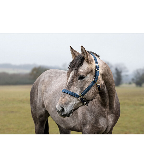 Halter Holly