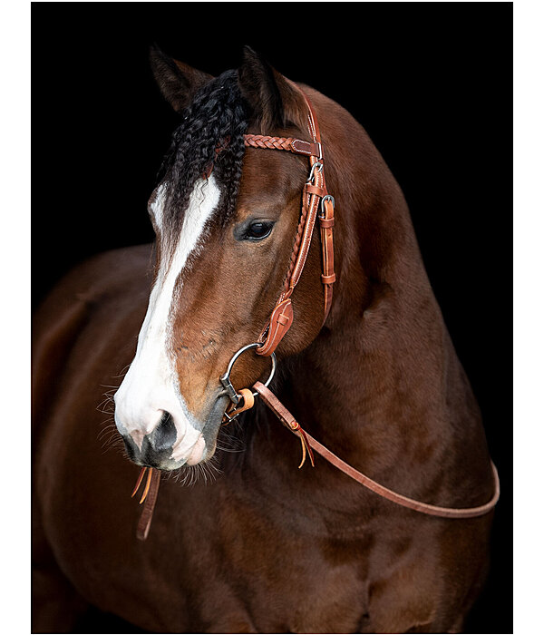 Western Headstall Wapi