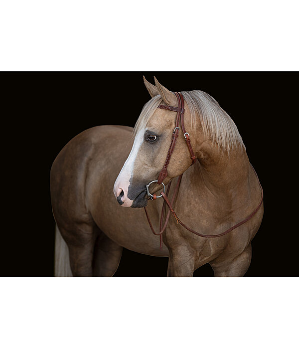 Western Headstall Wapi