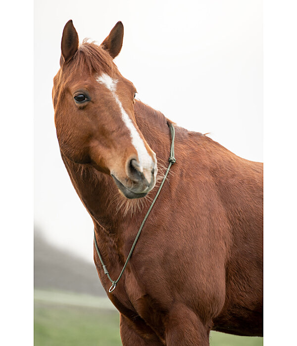 Neck Ring Bonny