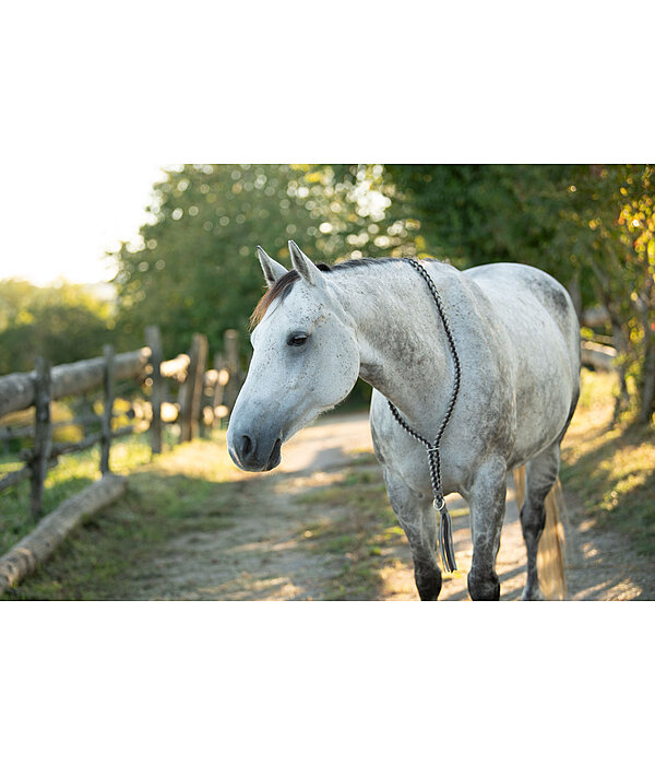 Braided Neck Ring Bonny