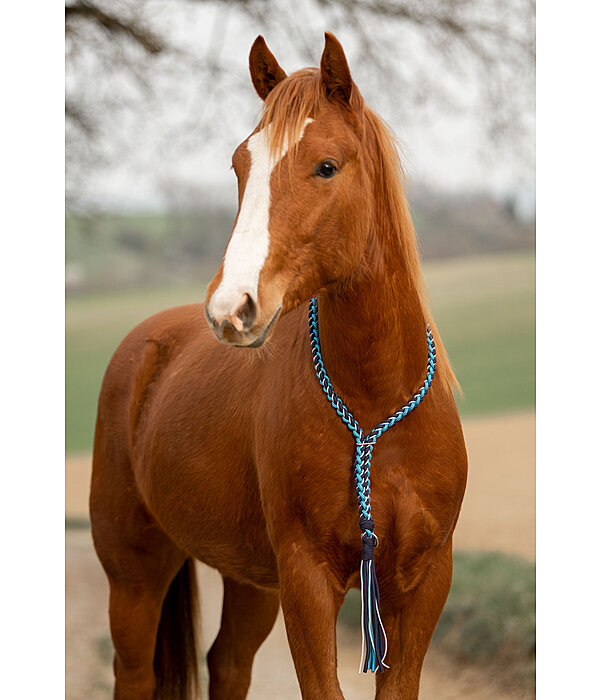 Braided Neck Ring Bonny