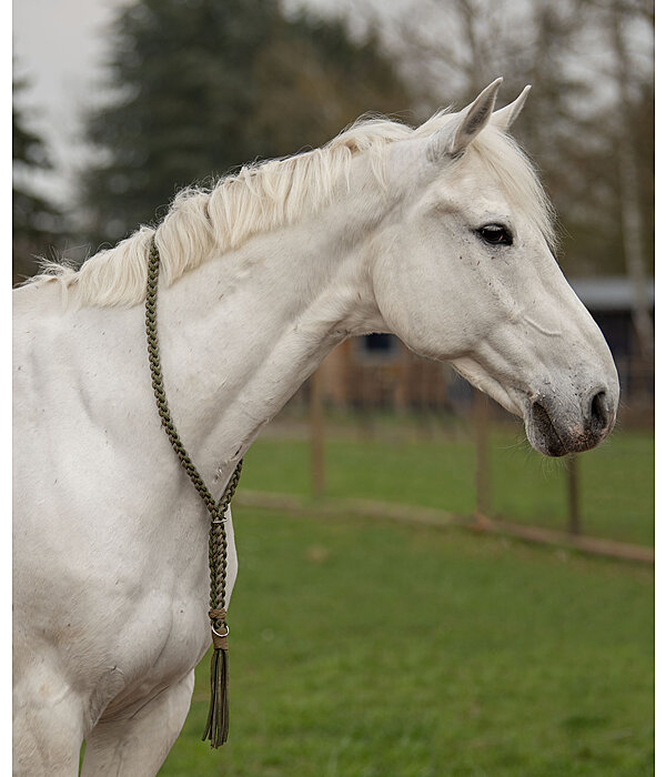 Braided Neck Ring Bonny