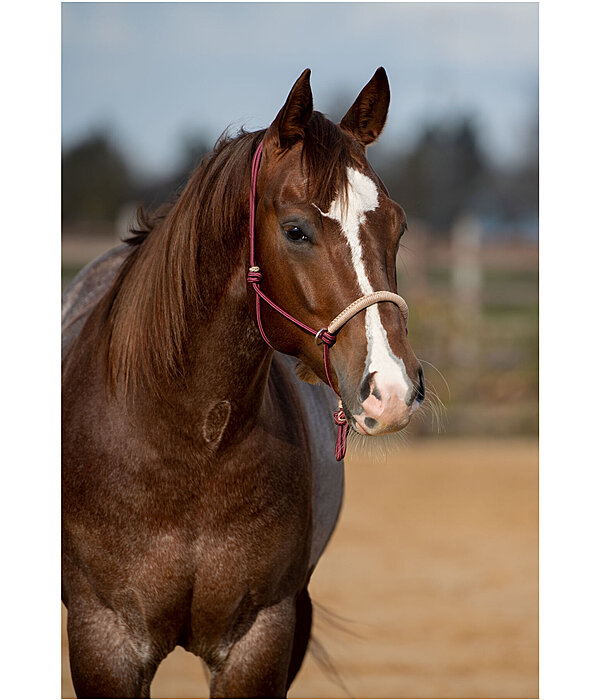 Rope Halter Lino