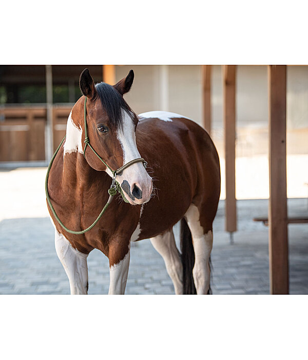 Rope Halter Lino