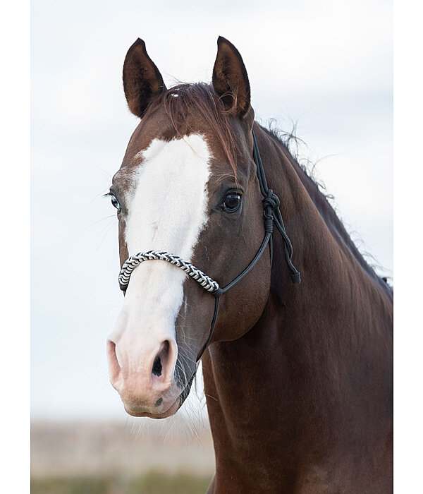 Knotless Rope Halter Bonny