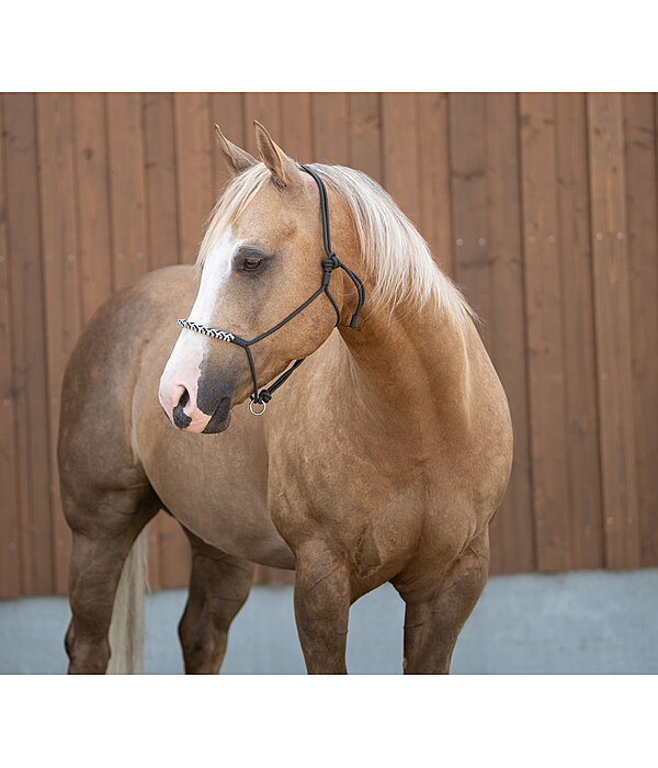 Knotless Rope Halter Bonny