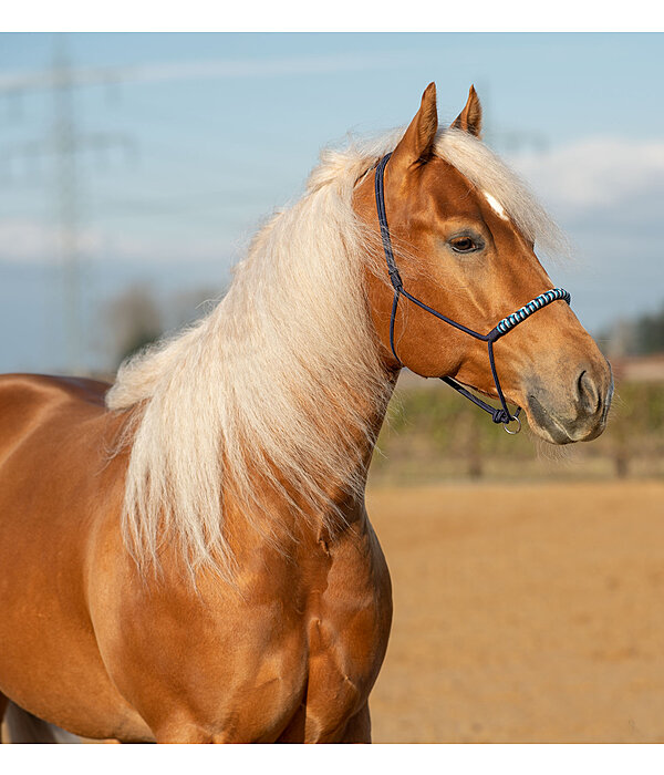 Knotless Rope Halter Bonny