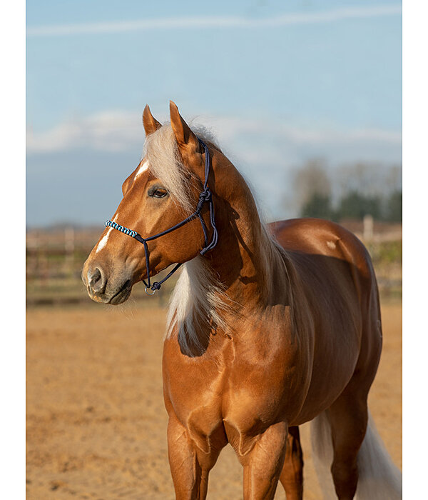 Knotless Rope Halter Bonny