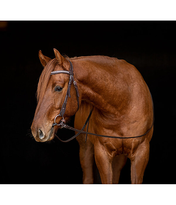 Mix & Match Western Reins Buckle End