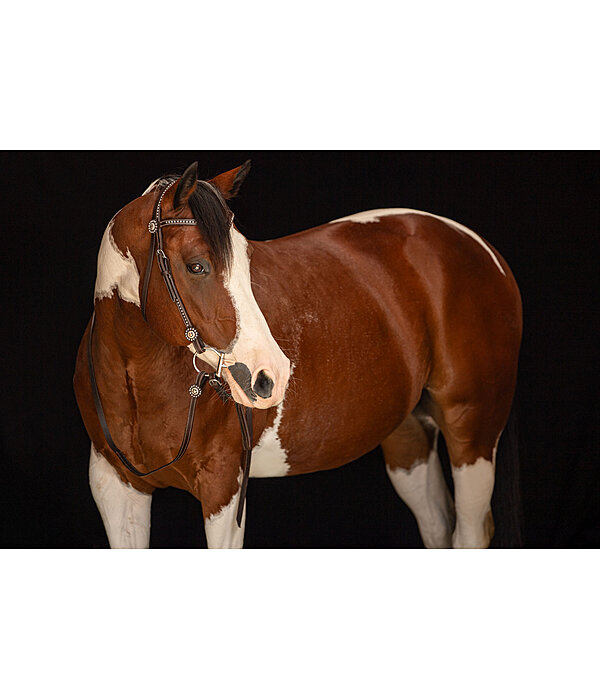 Western Headstall with Reins Stars