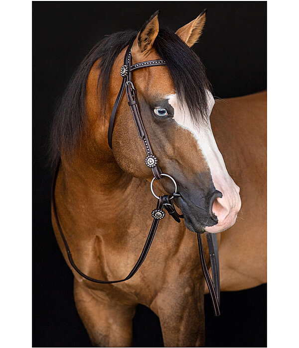 Western Headstall with Reins Stars