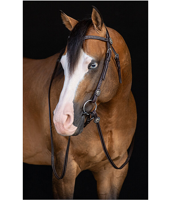 Western Headstall with Reins Stars