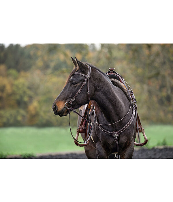 Western Headstall with Reins Stars