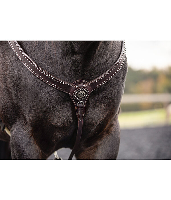   Western Breastplate Stars 
