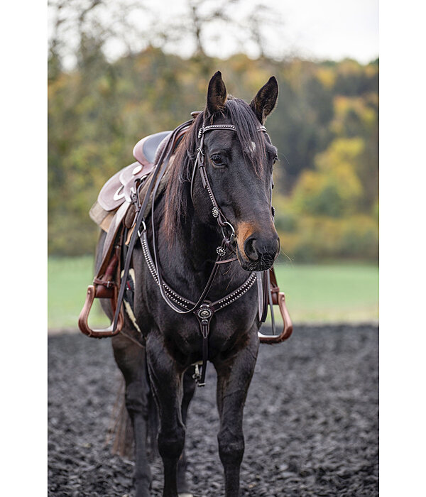   Western Breastplate stars 