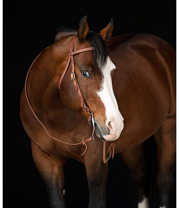 Working Headstall Buckle End