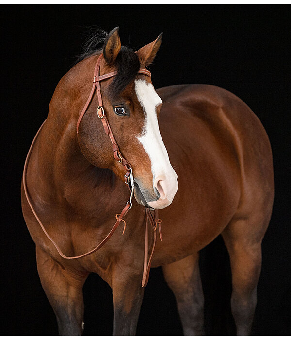 Working Headstall Buckle End