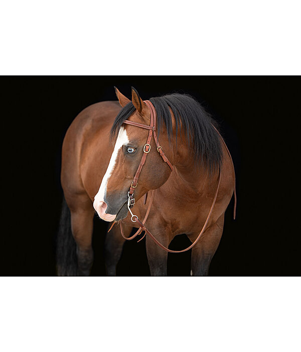Working Headstall Buckle End