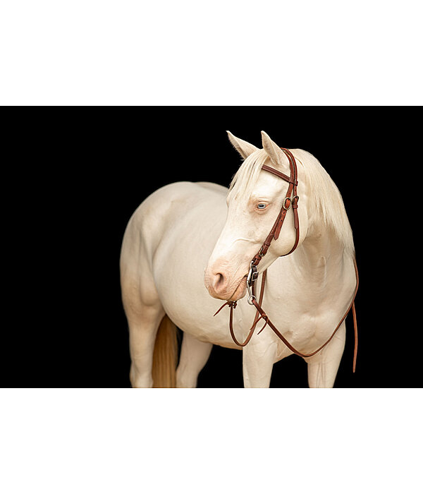 Working Headstall Buckle End