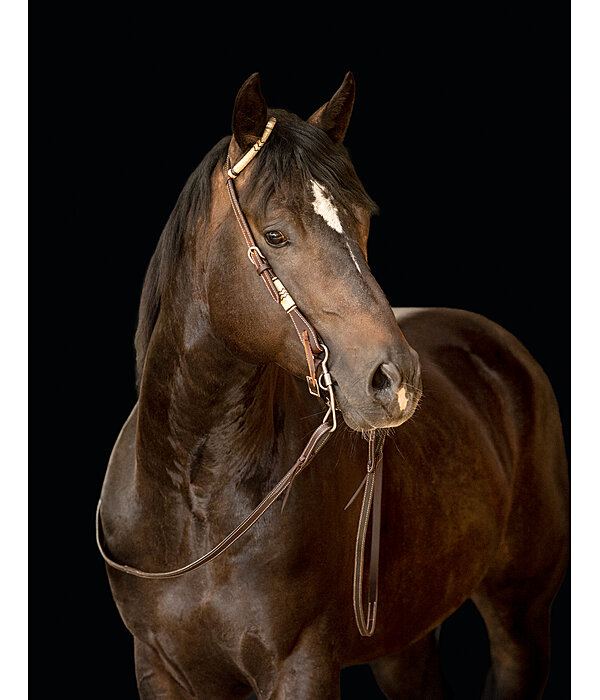 Single Ear Headstall Rawhide