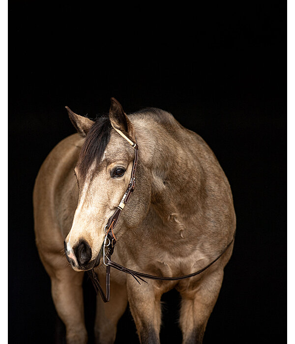 Single Ear Headstall Rawhide