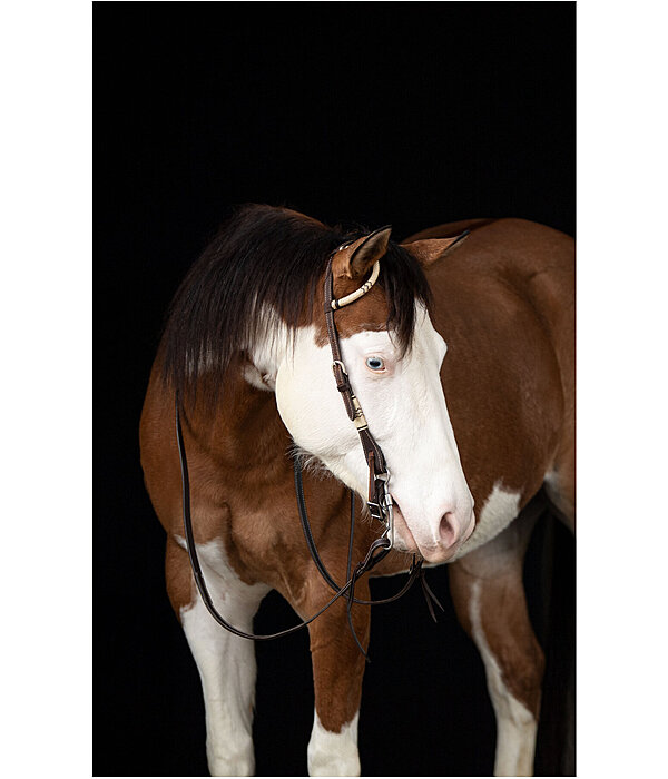 Single Ear Headstall Rawhide