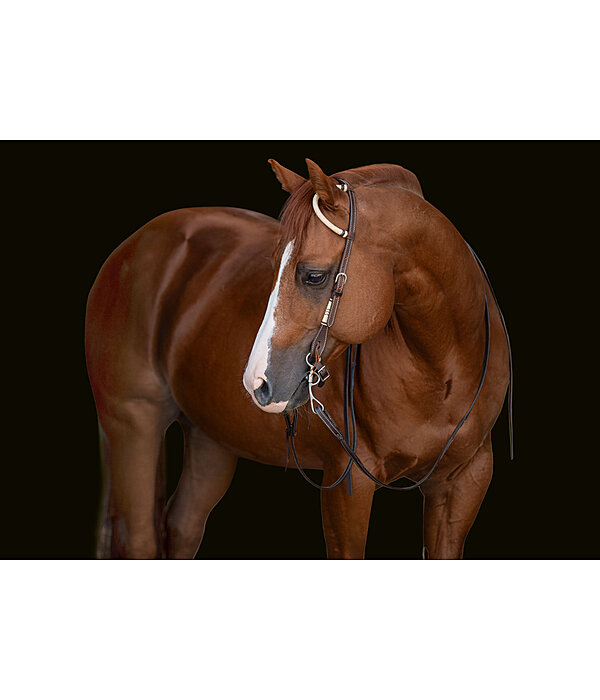 Single Ear Headstall Rawhide
