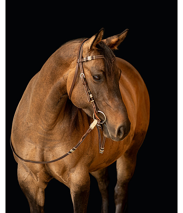 Western Headstall Rawhide