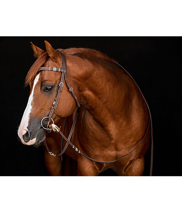 Western Headstall Rawhide
