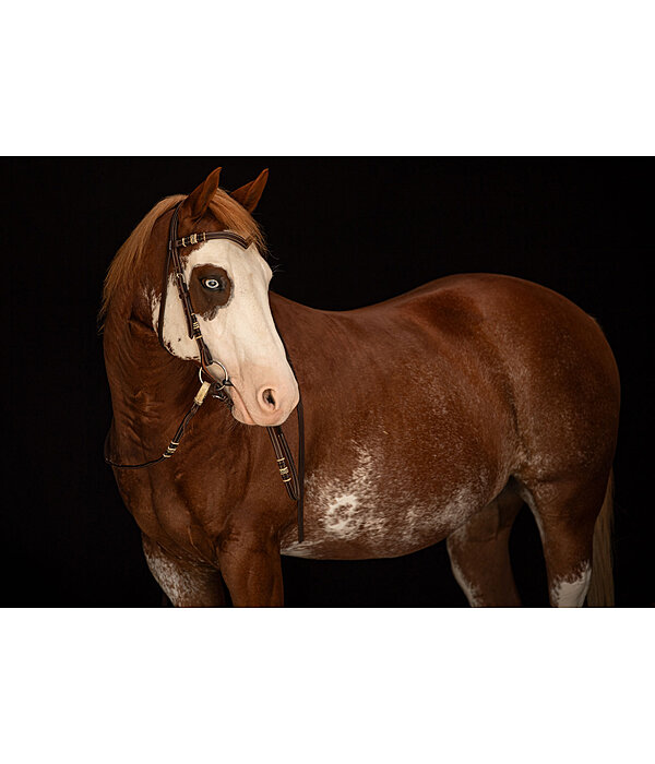Western Headstall Rawhide