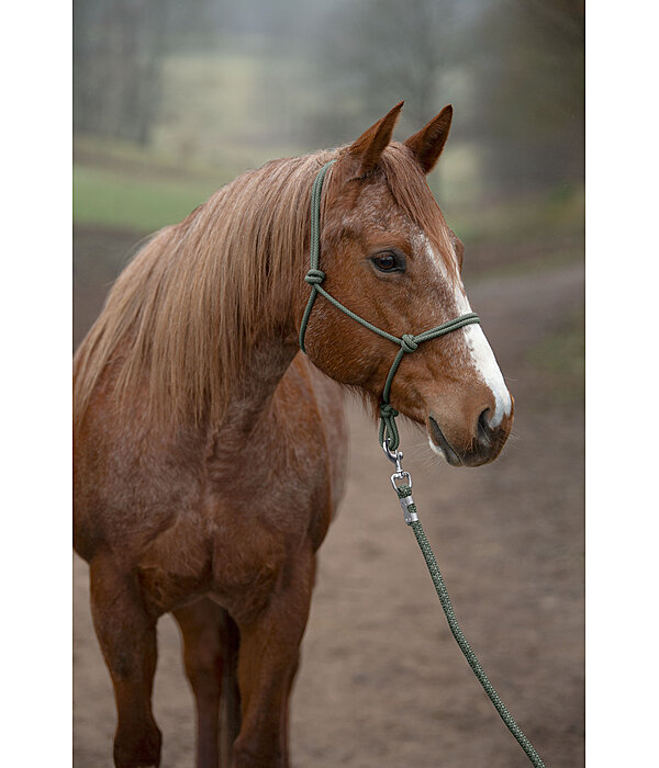 Rope Halter Set Haylie